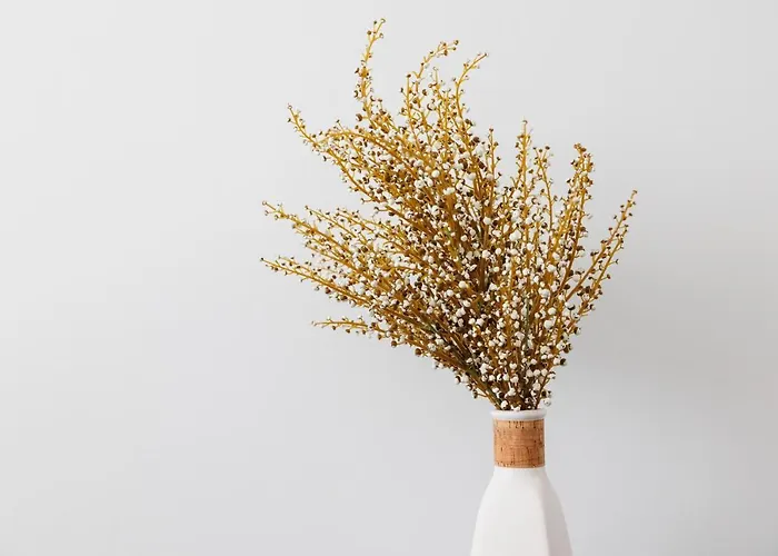 Zen Апартаменти